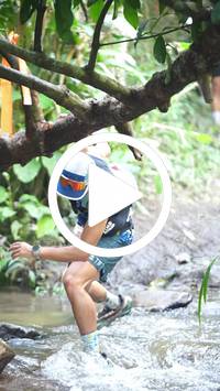 BIB:  <button type="button" onclick="openModal(27479838)" class="btn btn-primary btn-sm float-right" data-toggle="modal" data-target=".modal-high-quality">
                <i class="fa fa-download"></i> Download
                </button>